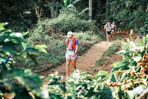 BIB: 
                            <button type="button" onclick="openModal(25852652)" class="btn btn-primary btn-sm float-right btn-popup" data-toggle="modal" data-target=".modal-high-quality">
                        <i class="fas fa-shopping-cart"></i> Add to Cart
                    </button>
                                            <button type="button" onclick="isThisMe(25852652, true)" class="btn btn-success btn-sm float-right btn-popup btn-isme hidden" data-toggle="tooltip" data-placement="bottom" title="นี่คือรูปของคุณใช่ไหม คลิกที่นี่เพื่อเอาเข้าอัลบั้ม">
                        <i class="fas fa-plus"></i> Add to album
                    </button>
                    <button type="button" onclick="isThisMe(25852652, false)" class="btn btn-warning btn-sm float-right btn-popup btn-isnotme hidden">
                        <i class="fas fa-ban"></i> Remove from album
                    </button>